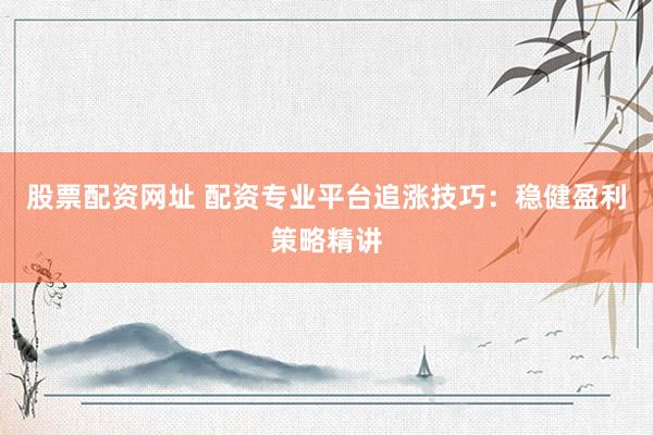 股票配资网址 配资专业平台追涨技巧：稳健盈利策略精讲