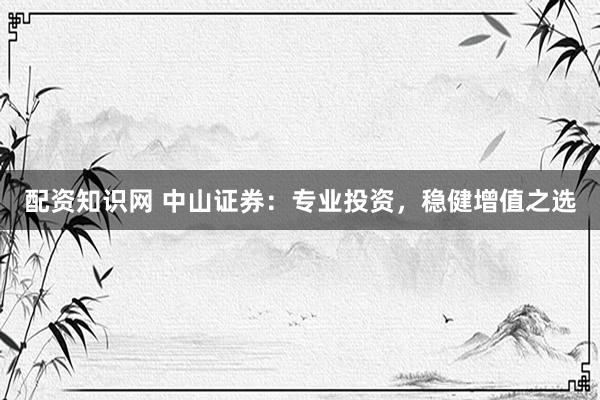 配资知识网 中山证券：专业投资，稳健增值之选