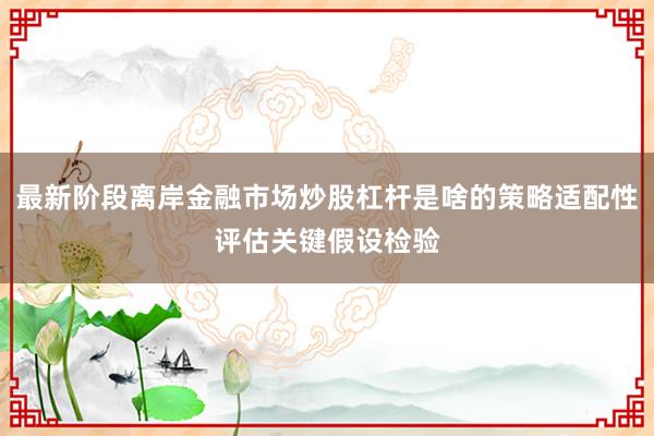 最新阶段离岸金融市场炒股杠杆是啥的策略适配性评估关键假设检验