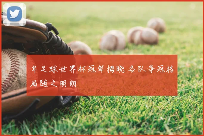 年足球世界杯冠军揭晓 各队争冠格局随之明朗