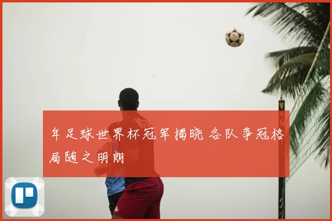 年足球世界杯冠军揭晓 各队争冠格局随之明朗