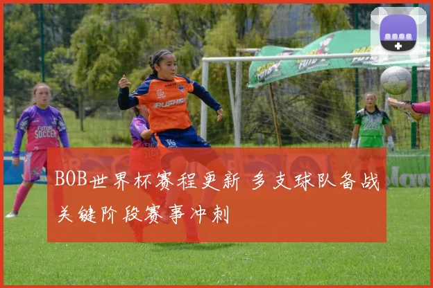 BOB世界杯赛程更新 多支球队备战关键阶段赛事冲刺